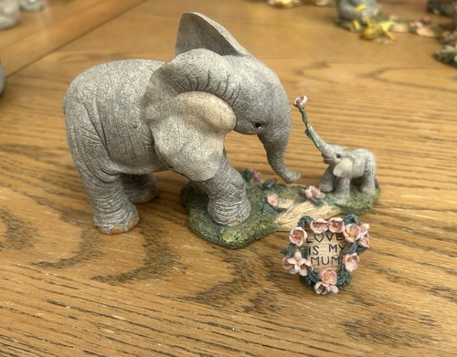 Tuskers love mum - tuskers,