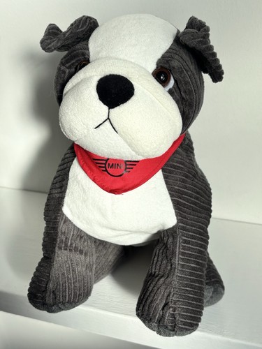 Mini bulldog grey white - bulldog,