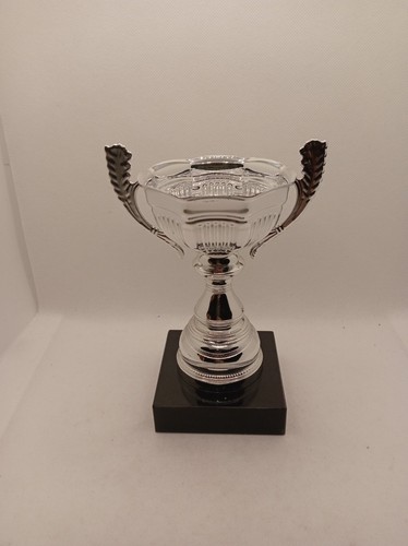 Silver metal trophy - silver,