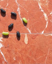 Rojo Alicante Polished Marble