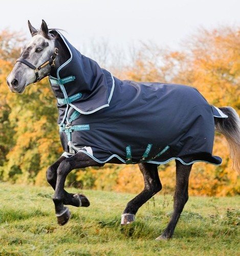 Horseware amigo bravo plus - horseware,