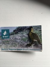 WWT pin badges Nene Hawaiian Goose Not RSPB. Very Rare