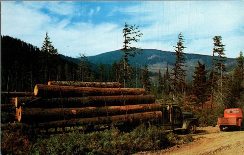 Postcard logging truck - ,