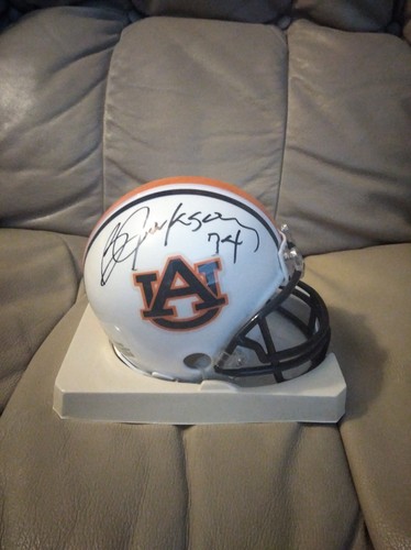 Jackson auto auburn tigers - jackson,