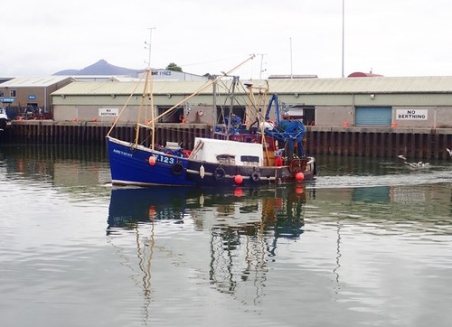Photo 6x4 the newry - photo, registered