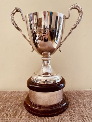 Silver trophy - trophy, 13.5”