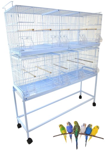 Large triple breeding - 2, x-large