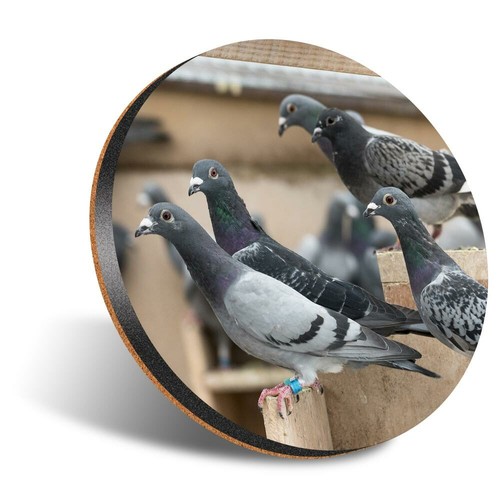 Round 12cm coaster - x,