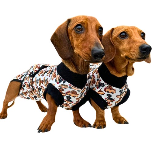 Antibacterial dachshund dog - antibacterial,