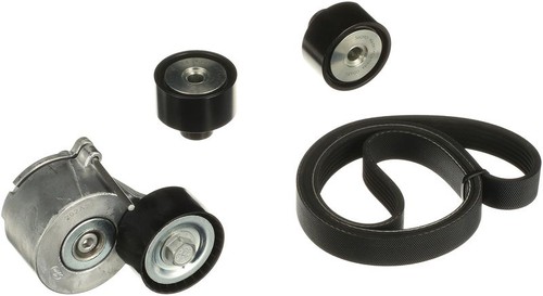 Gates ribbed belt - gates, fits