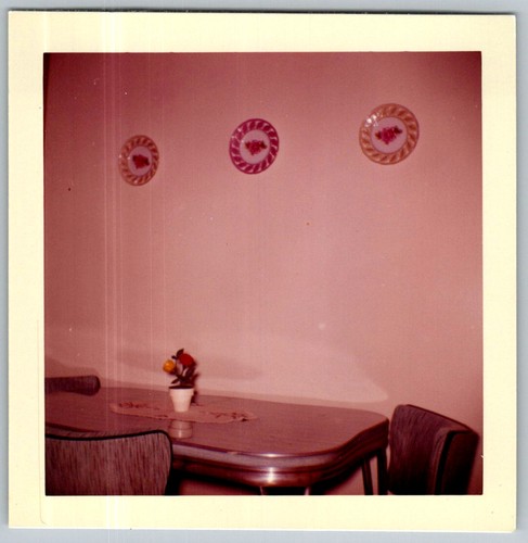 Vtg color snapshot dining room - vtg,