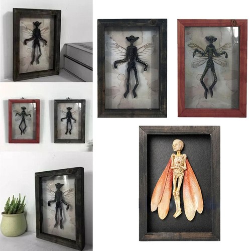 Oddities and curiosities fairy - oddities,