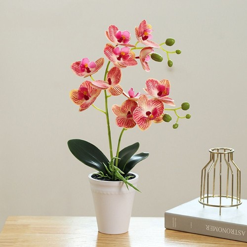 Artificial orchid flower - artificial,