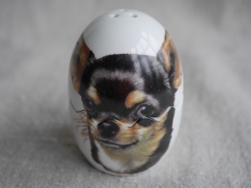 Chihuahua dog egg - chihuahua,