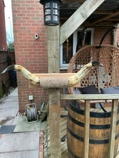 Collect only. Cow Horns