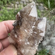 Smoky Cactus Quartz Crystal