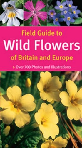 Field guide wild flowers - field, of