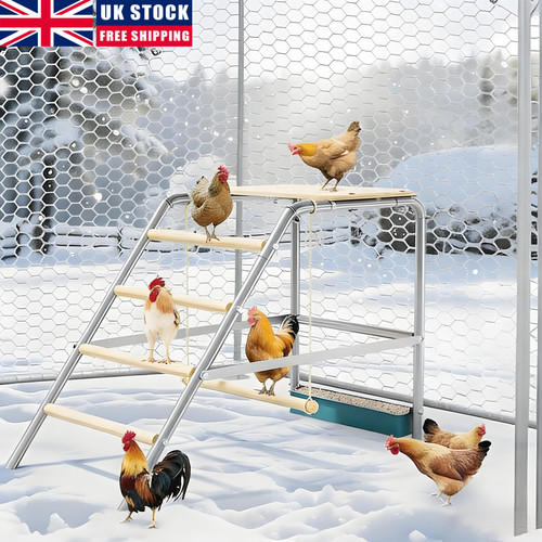Chicken coop toy with swing - coop,