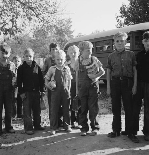 The children from dead flat - the, ox