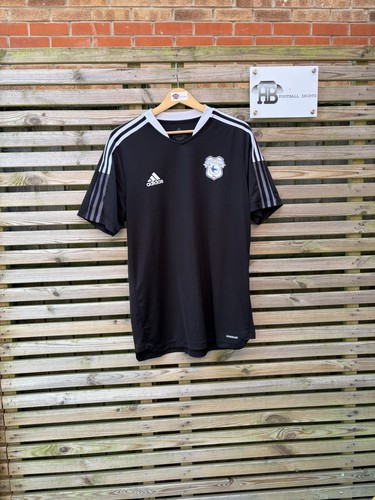 Cardiff city football - cardiff,