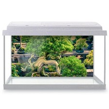 Fish Tank Background Old