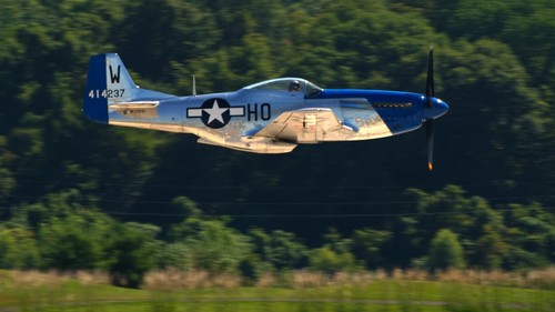 North american mustang - p, 51
