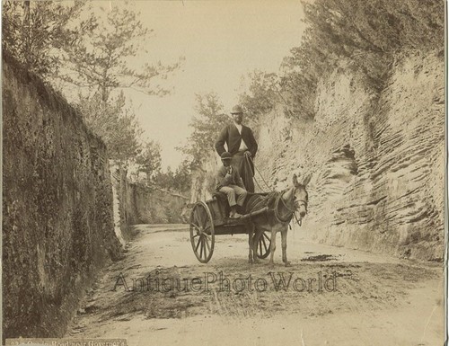 Man and boy - , carriage