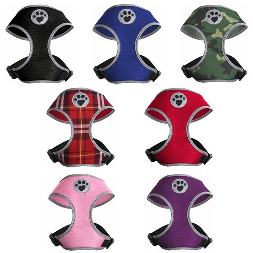 Adjustable dog harness - dog, puppy