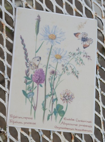 Pretty villeroy and - pretty, boch
