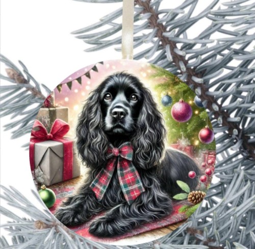 Cocker spaniel dog - cocker,