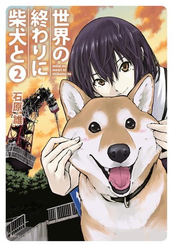 Ishihara shiba inu - ishihara,