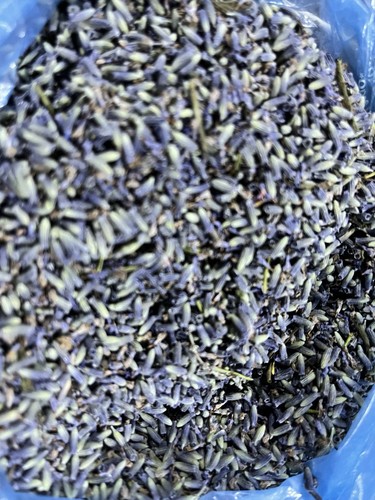 Dried lavender flowers - lavender,