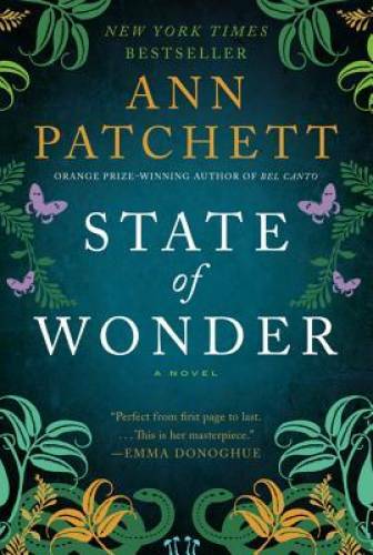 State wonder novel - a,