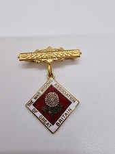 vintage enamel brooch badge
