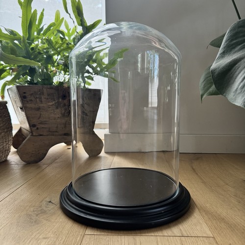 Large glass display dome bell - dome,