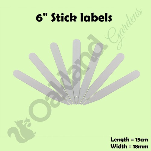 Seed plant labels 6 - labels, 6"