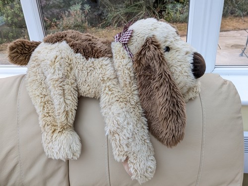 Keel large patch brown puppy - keel,