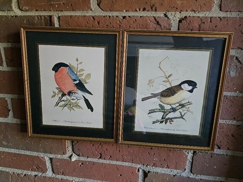 David andrews watercolours - andrews,