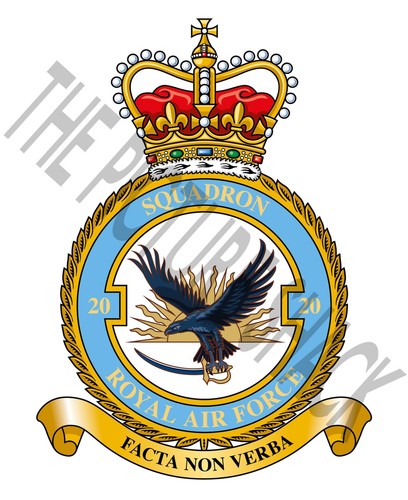 Raf squadron badge metal - raf,