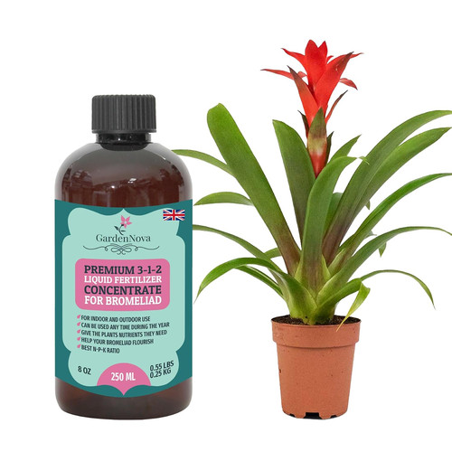 Premium liquid bromeliad - premium,