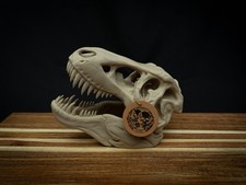 Scaled Down T-Rex Skull