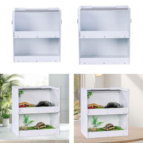 Reptile tank feeding - reptile,