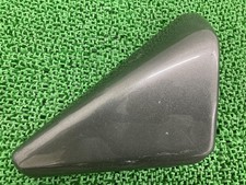 Zephyr 400 Air Cleaner Cover