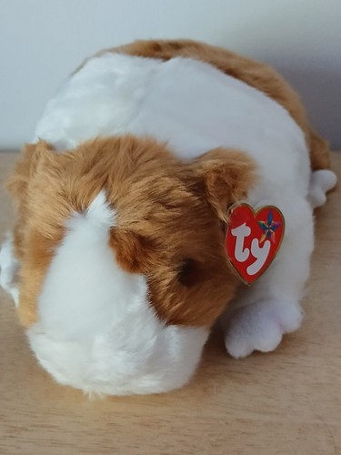 Beanie buddy twitch guinea - ty,