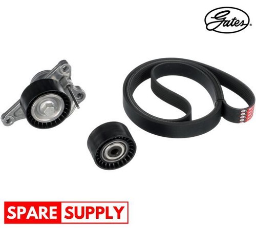 Ribbed belt set for renault - v-ribbed,