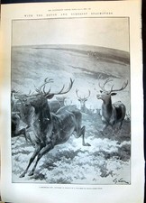 Old 1899 Devon Somerset