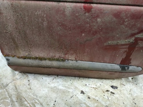 Molding door rear left - ,