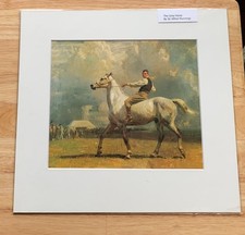 SIR ALFRED MUNNINGS; THE GREY