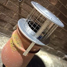 Universal Rain,draft,bird