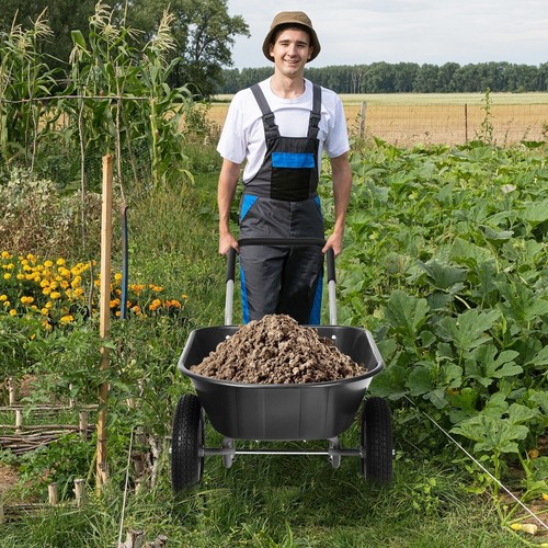 Tire wheelbarrow garden cart - 2,